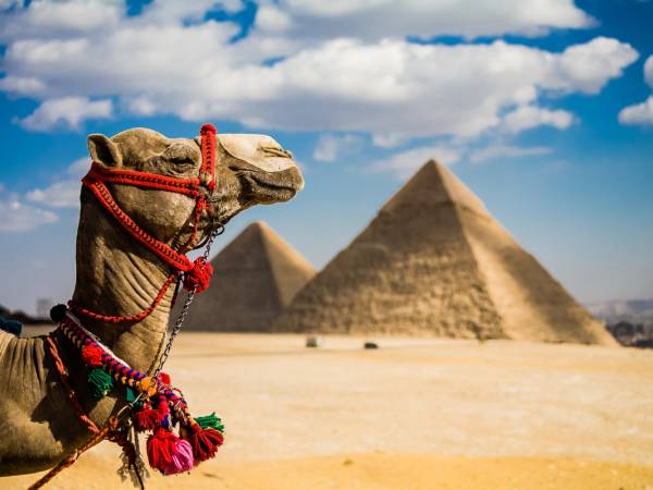 Gran tour dell'Egitto cover