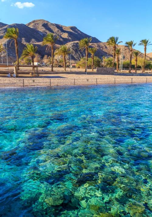 spiaggia di aqaba