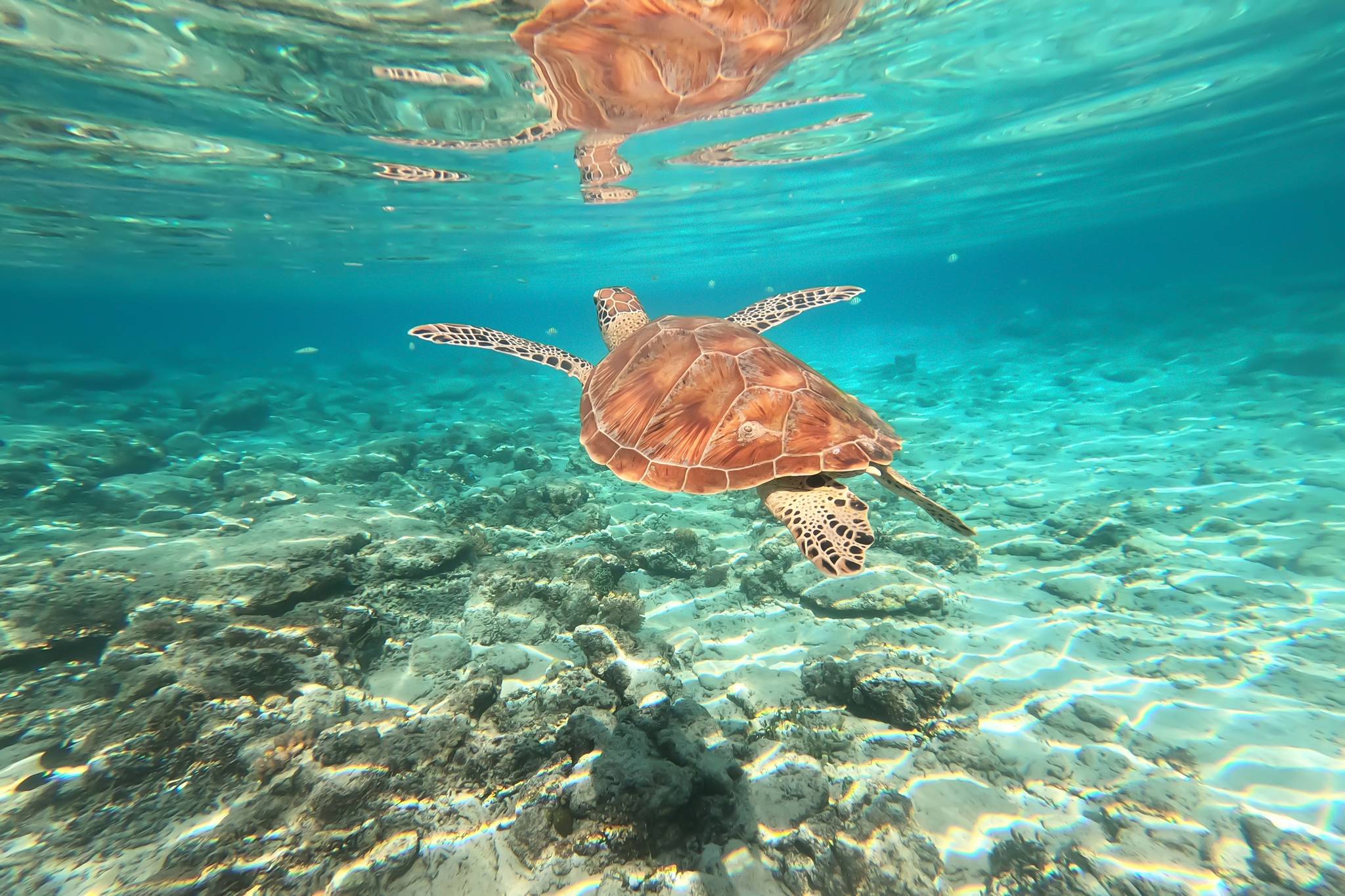 isole gili