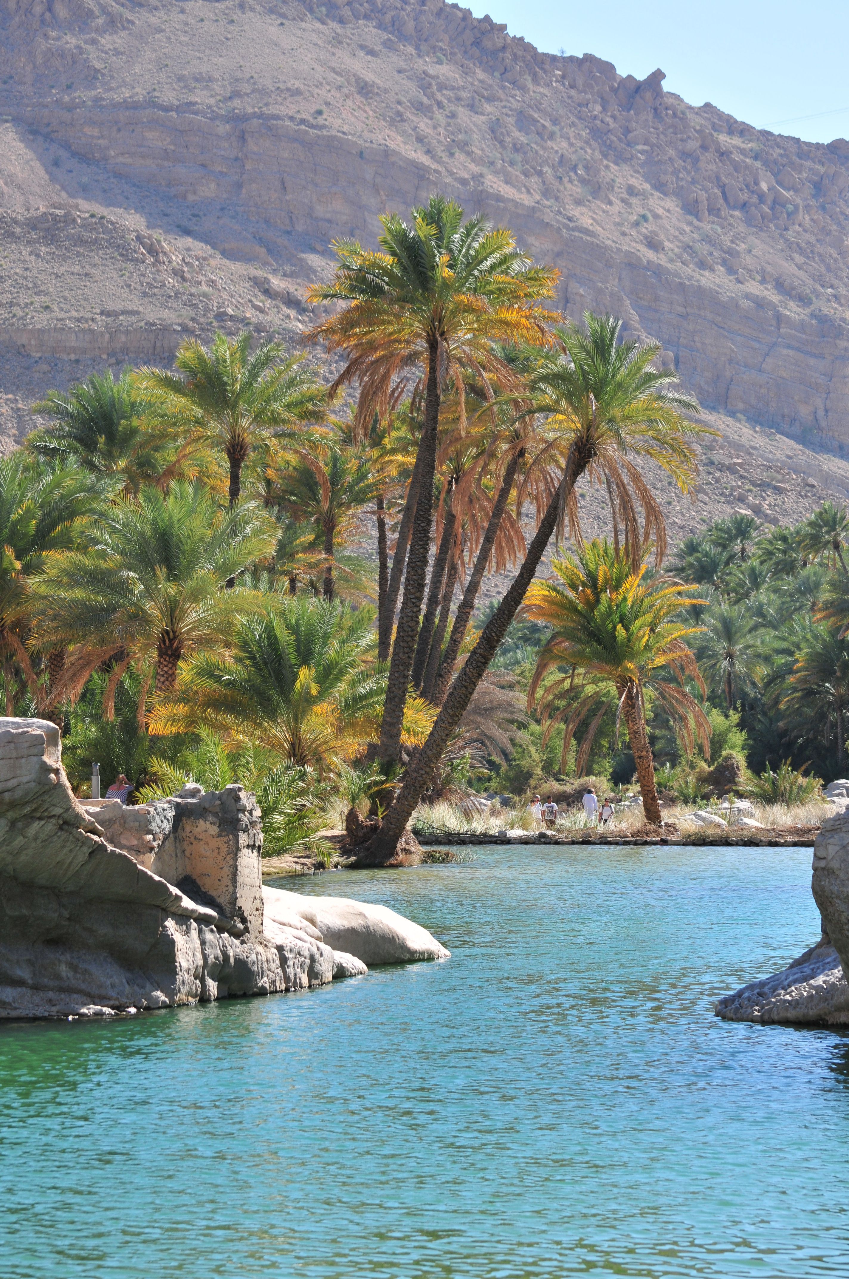 wadi bani khalid