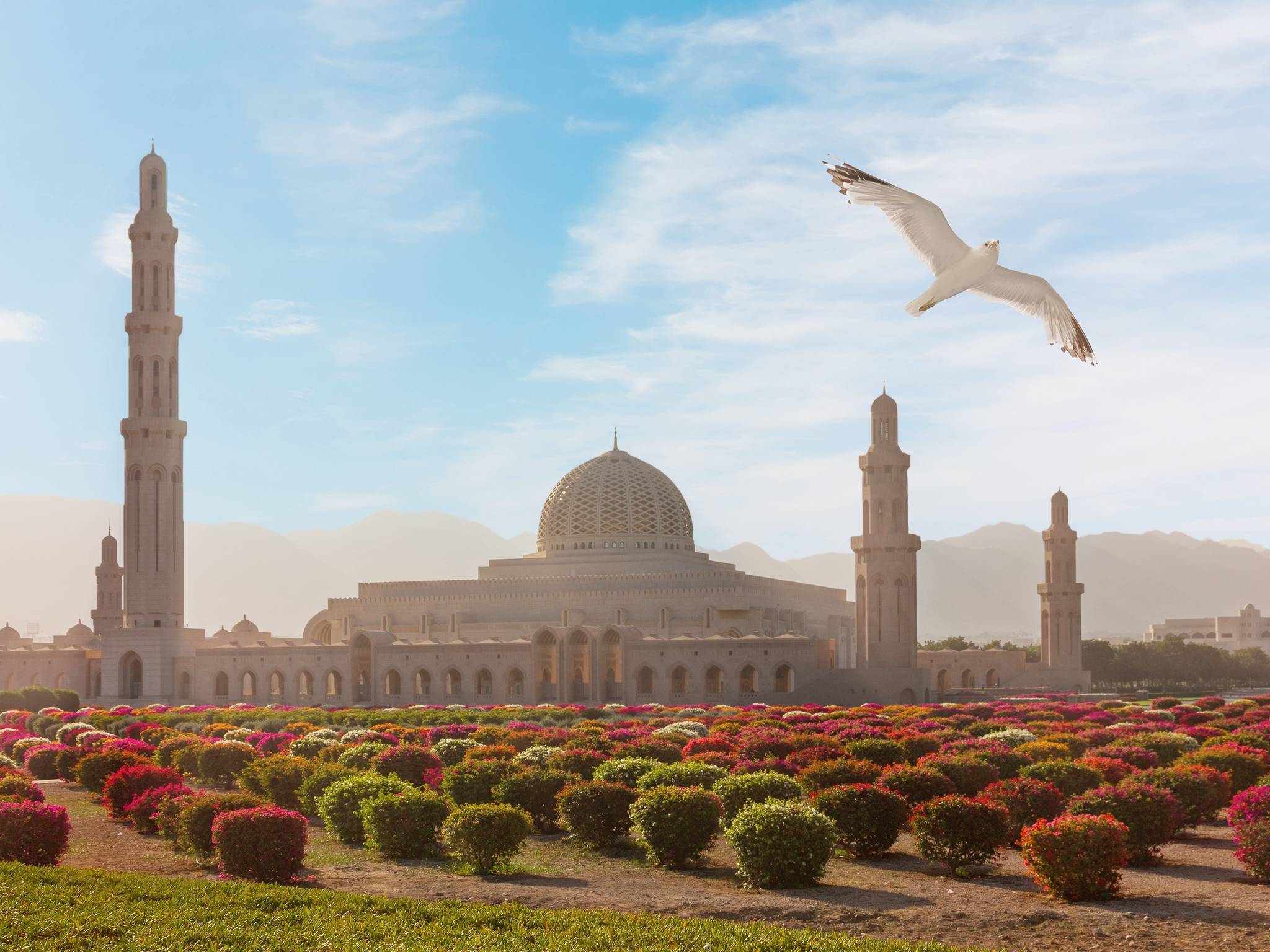 Tour di Muscat, Dubai e Abu Dhabi cover