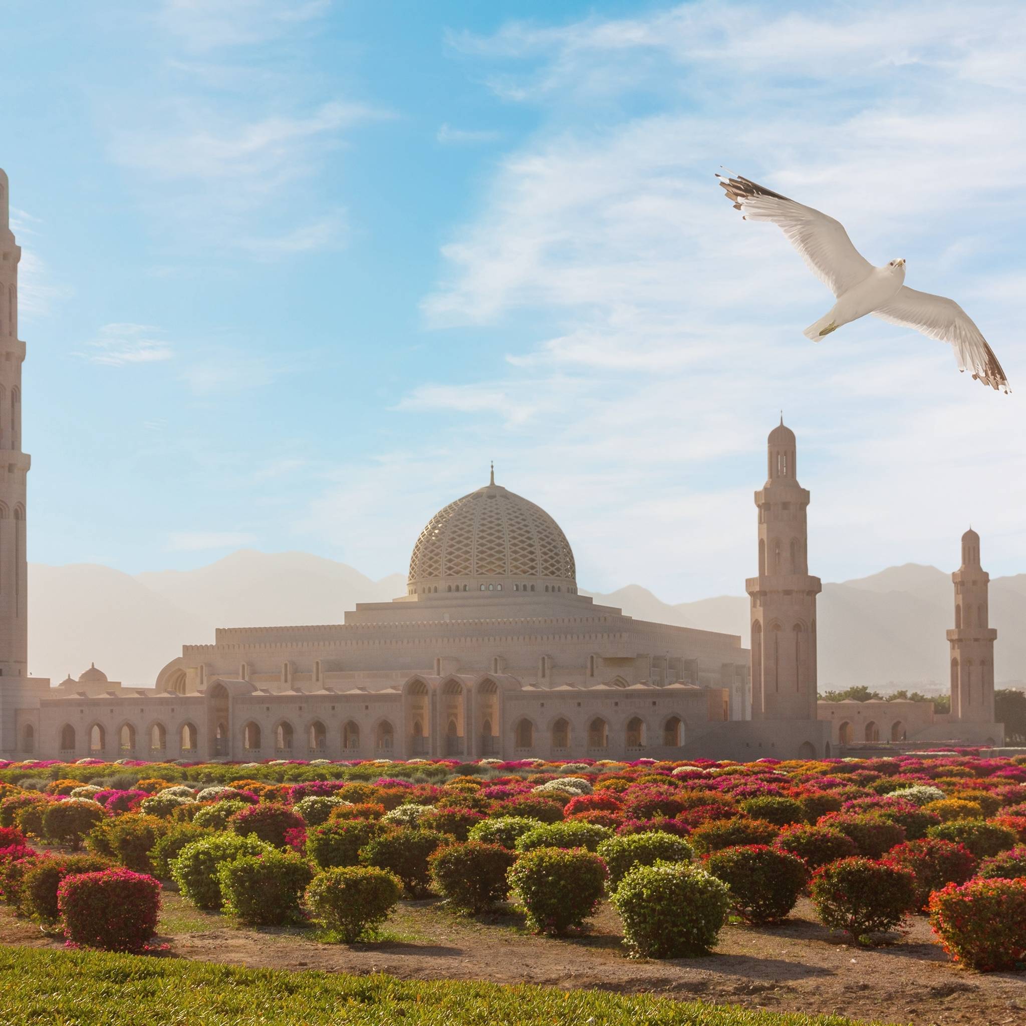 Tour di Muscat, Dubai e Abu Dhabi