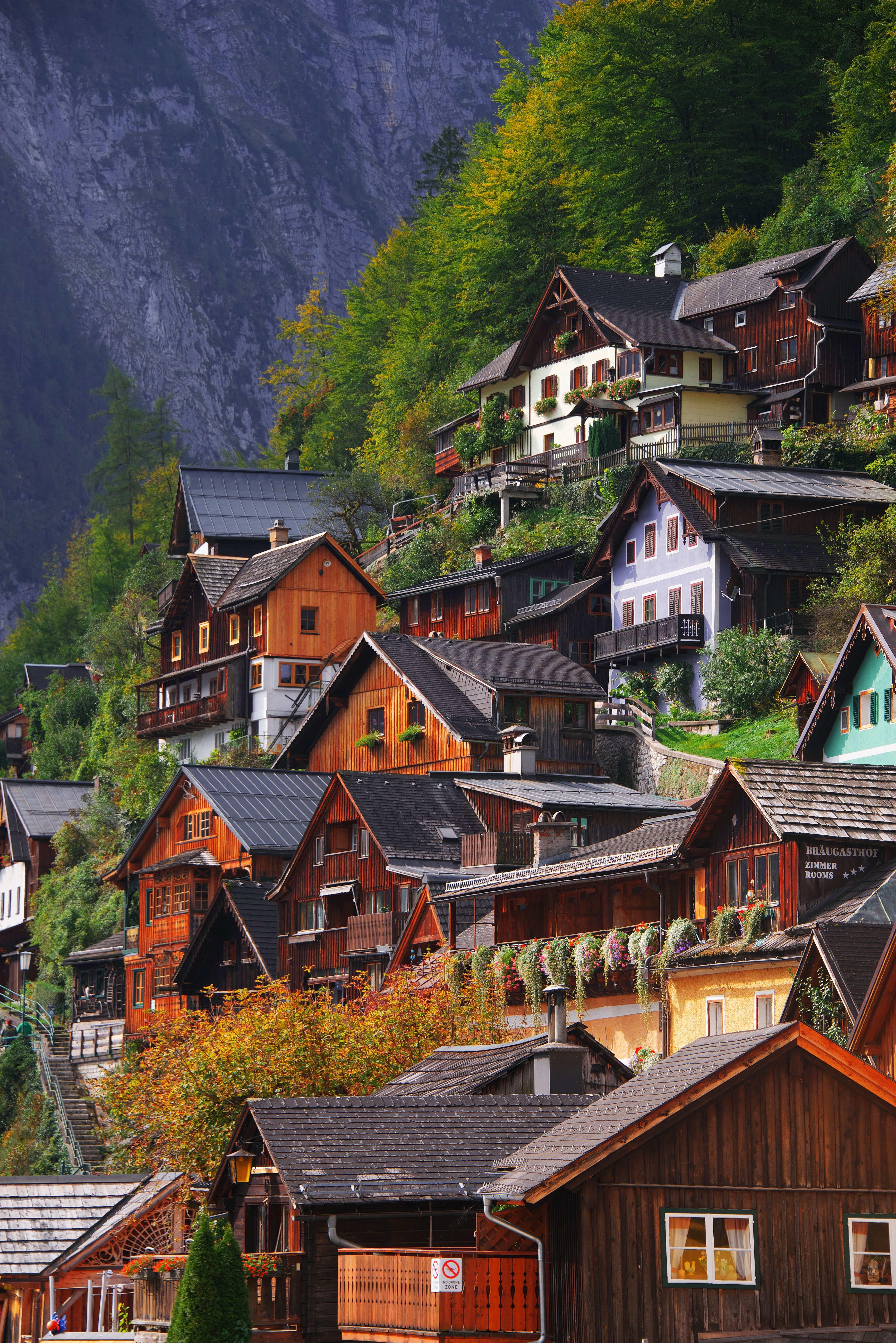 paesaggio montano vienna