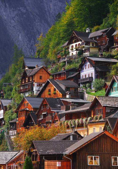 paesaggio montano vienna