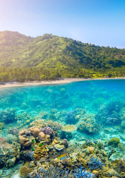 spiaggia di sabbia rosa a lombok