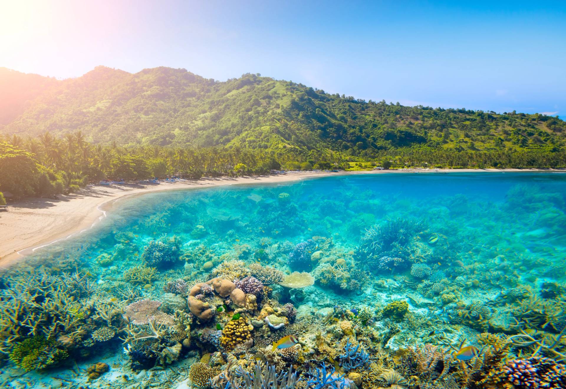 Lombok Island
