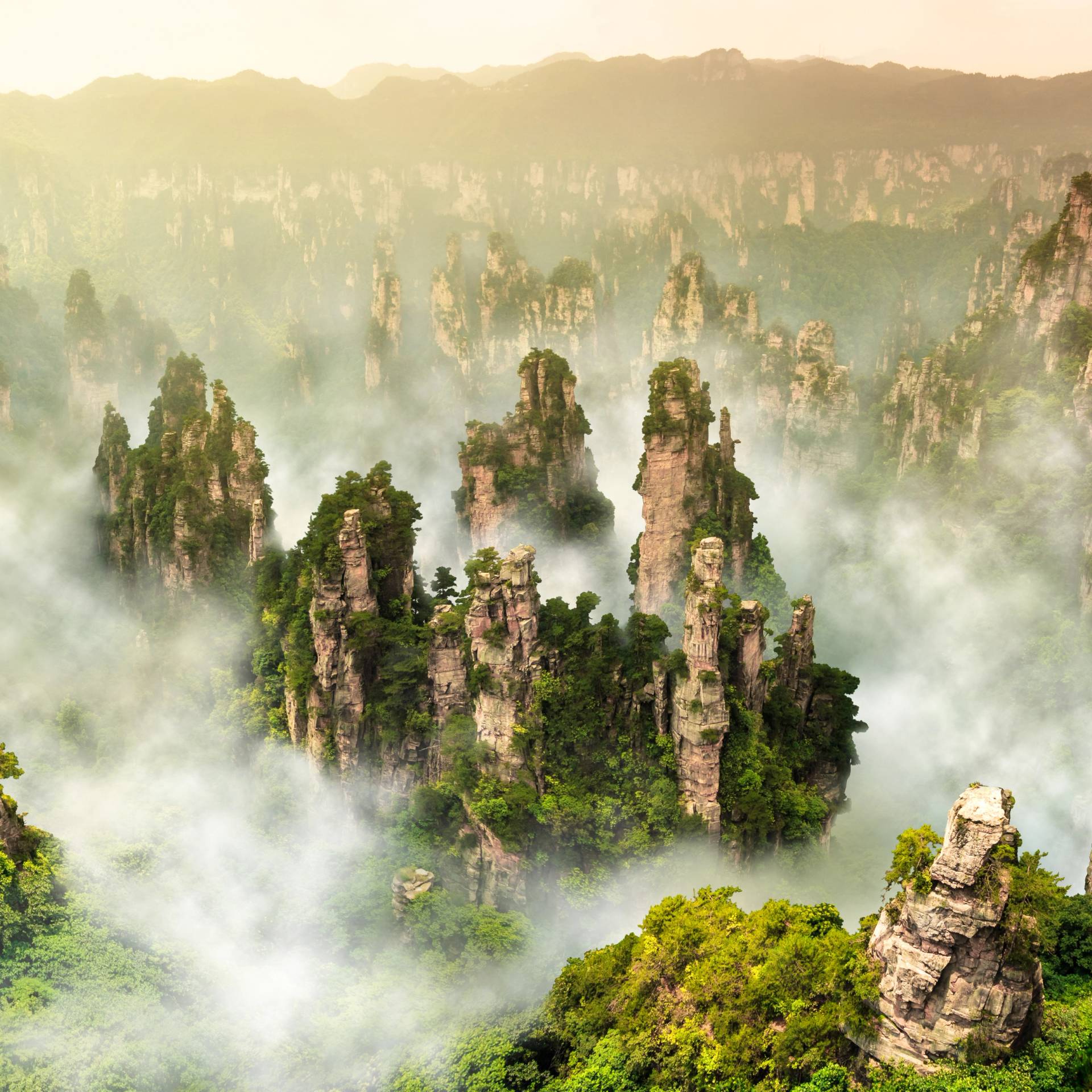 Cina panoramica