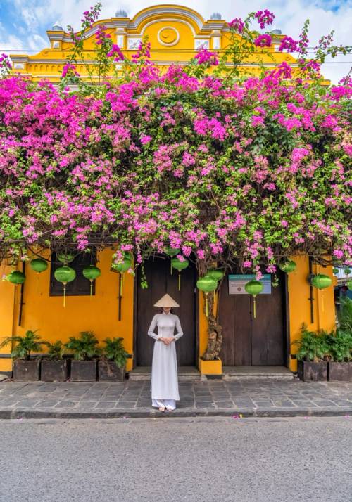 casa con albero di fiori