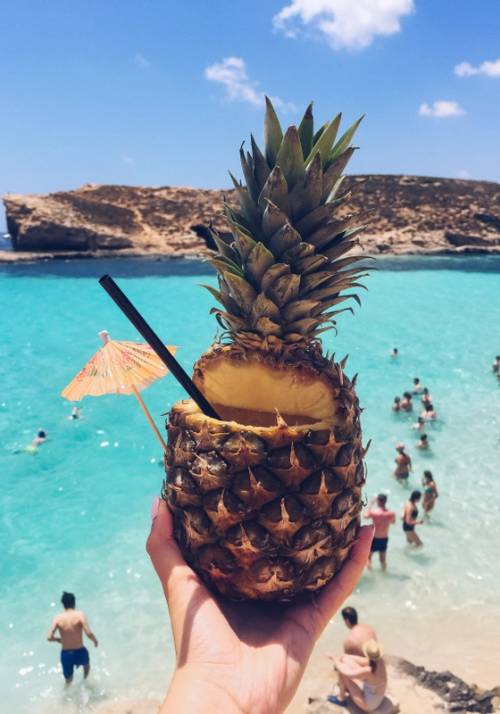 cocktail a forma di ananas a malta