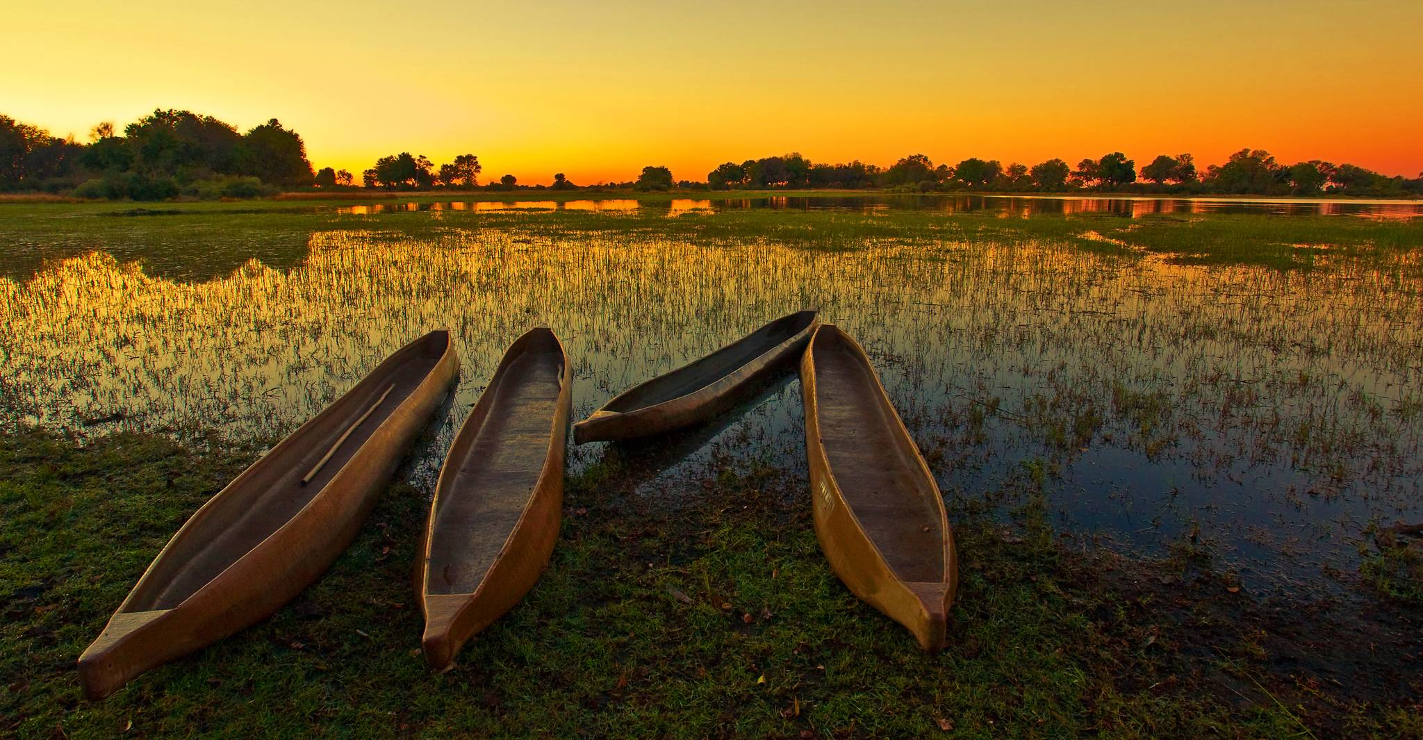 fiume okavango