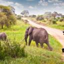 Tour del Kenya