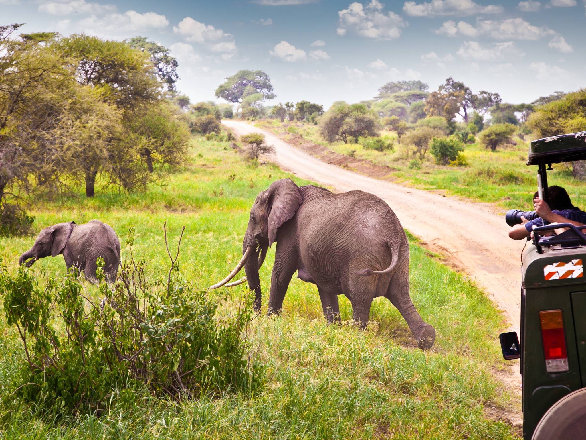 Tour del Kenya cover