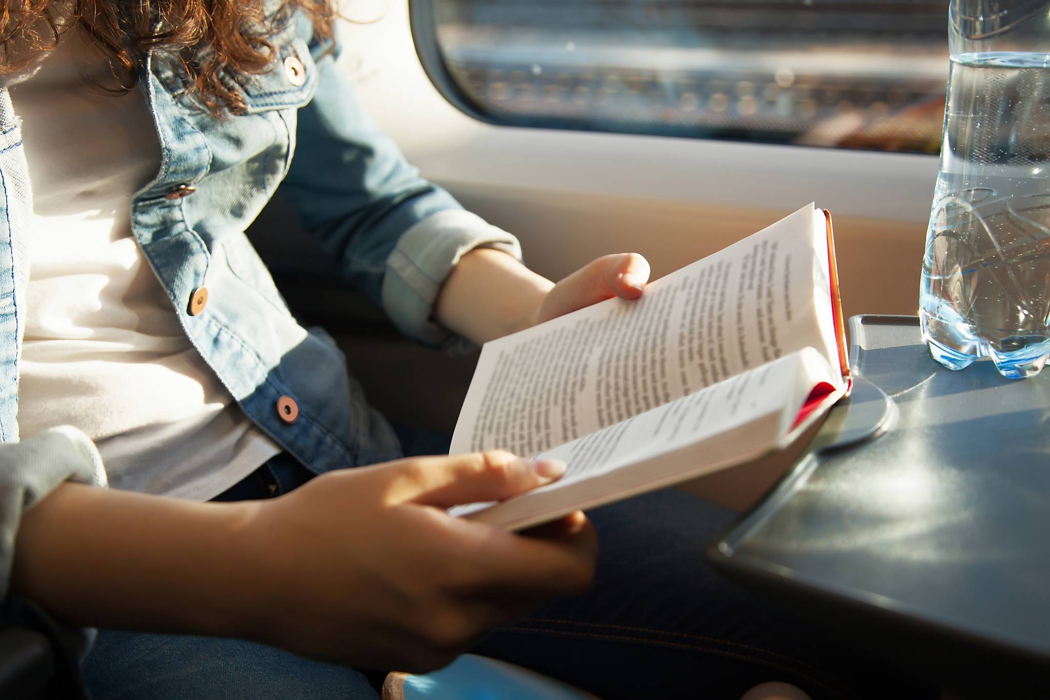 ragazza legge in treno 