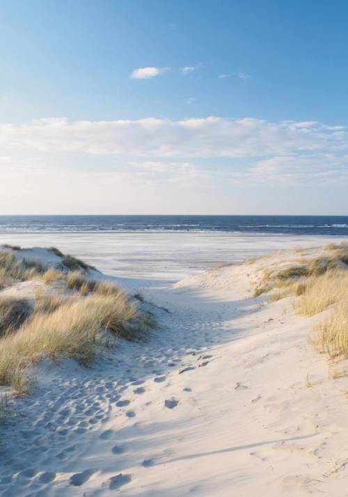 spiaggia del mare del nord
