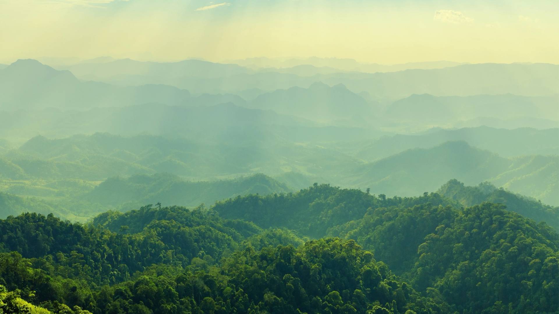 organized nature trips