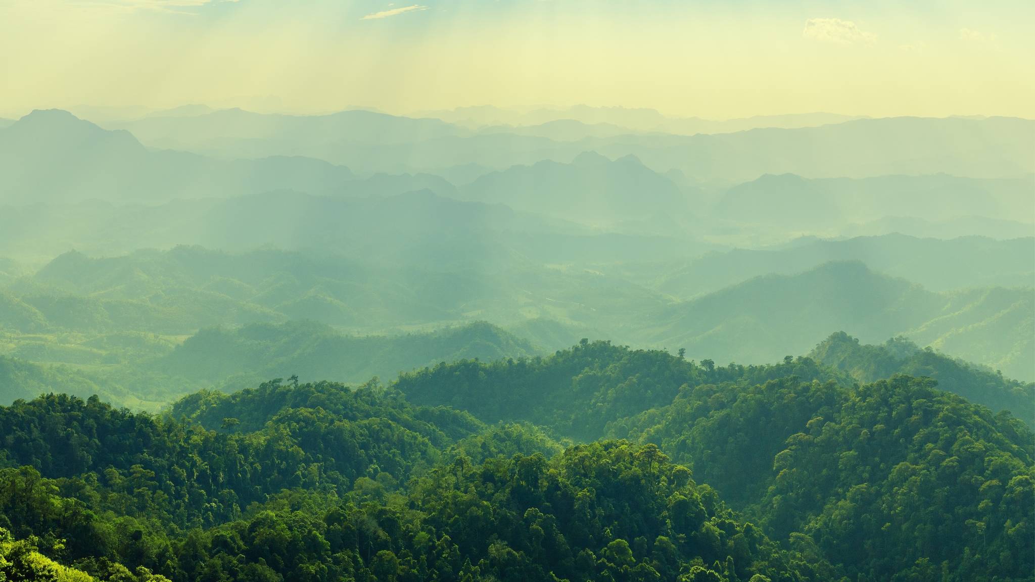 viaggi naturalistici organizzati