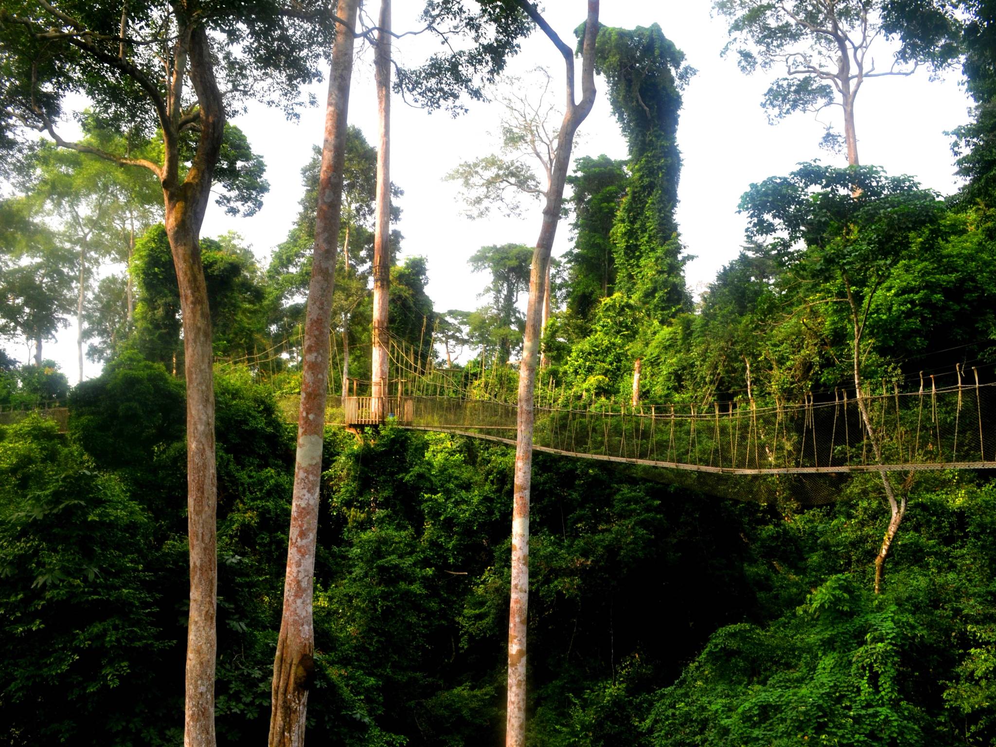 Viaggio in Ghana cover