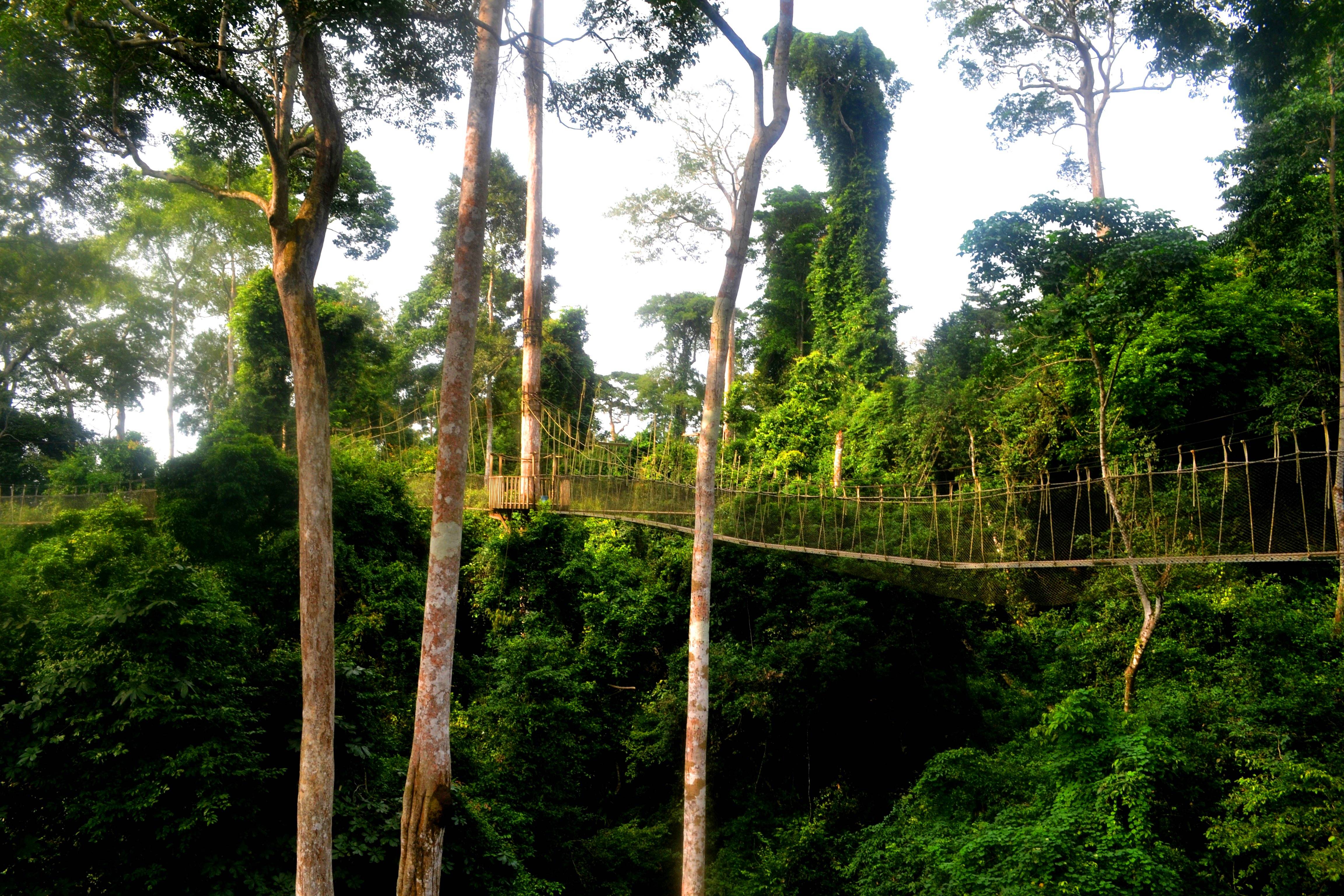 kakum national park