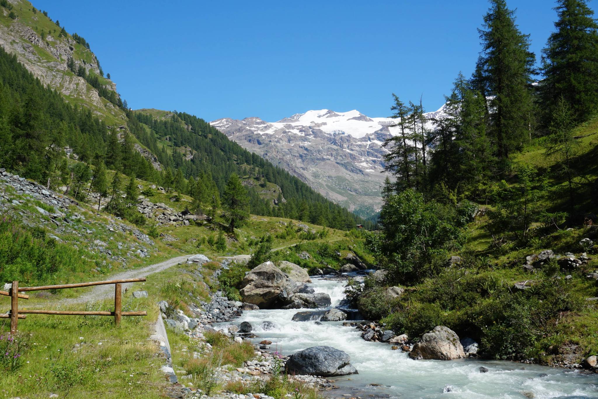 gressoney