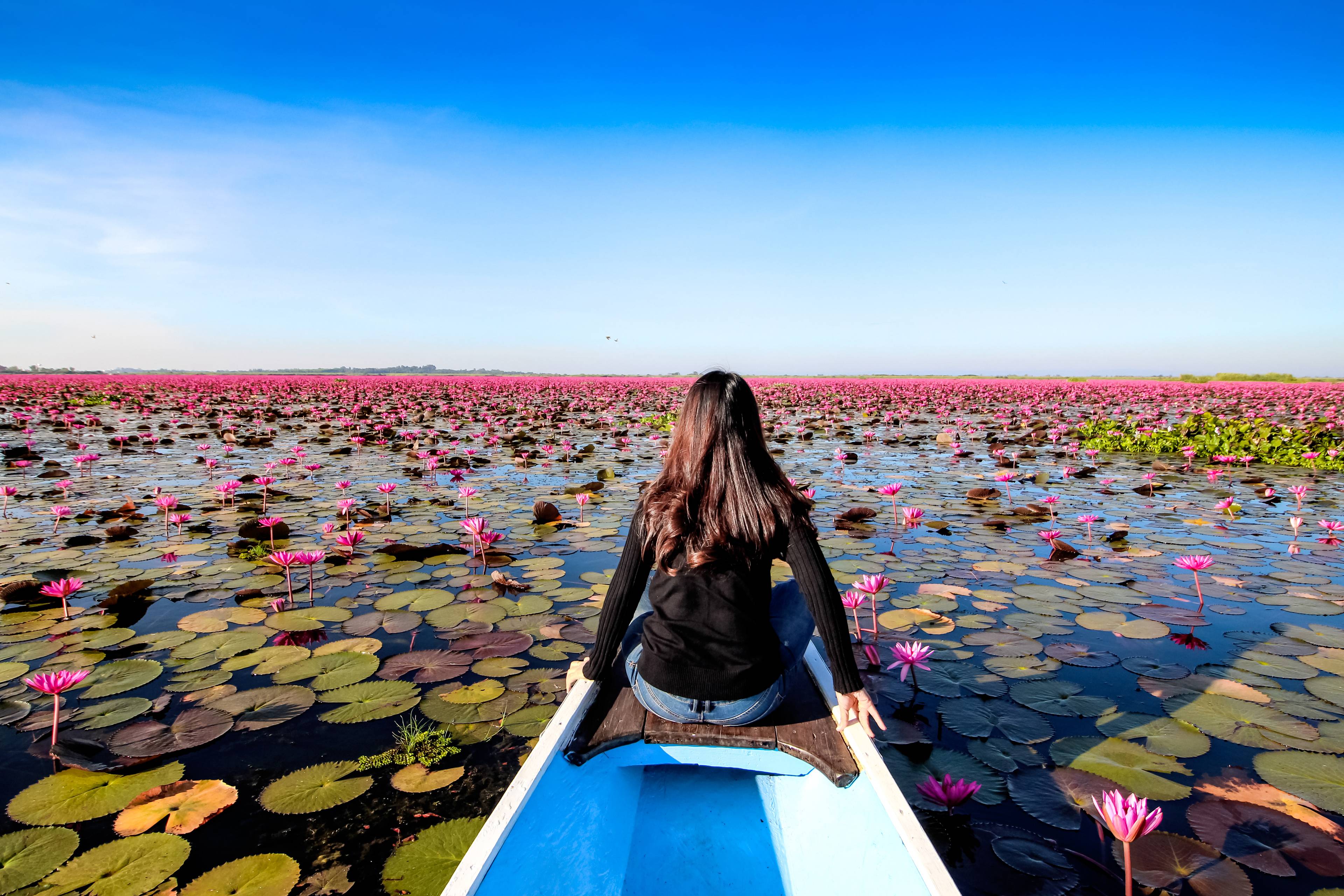 ragazza su barca in mezzo al red lotus sea