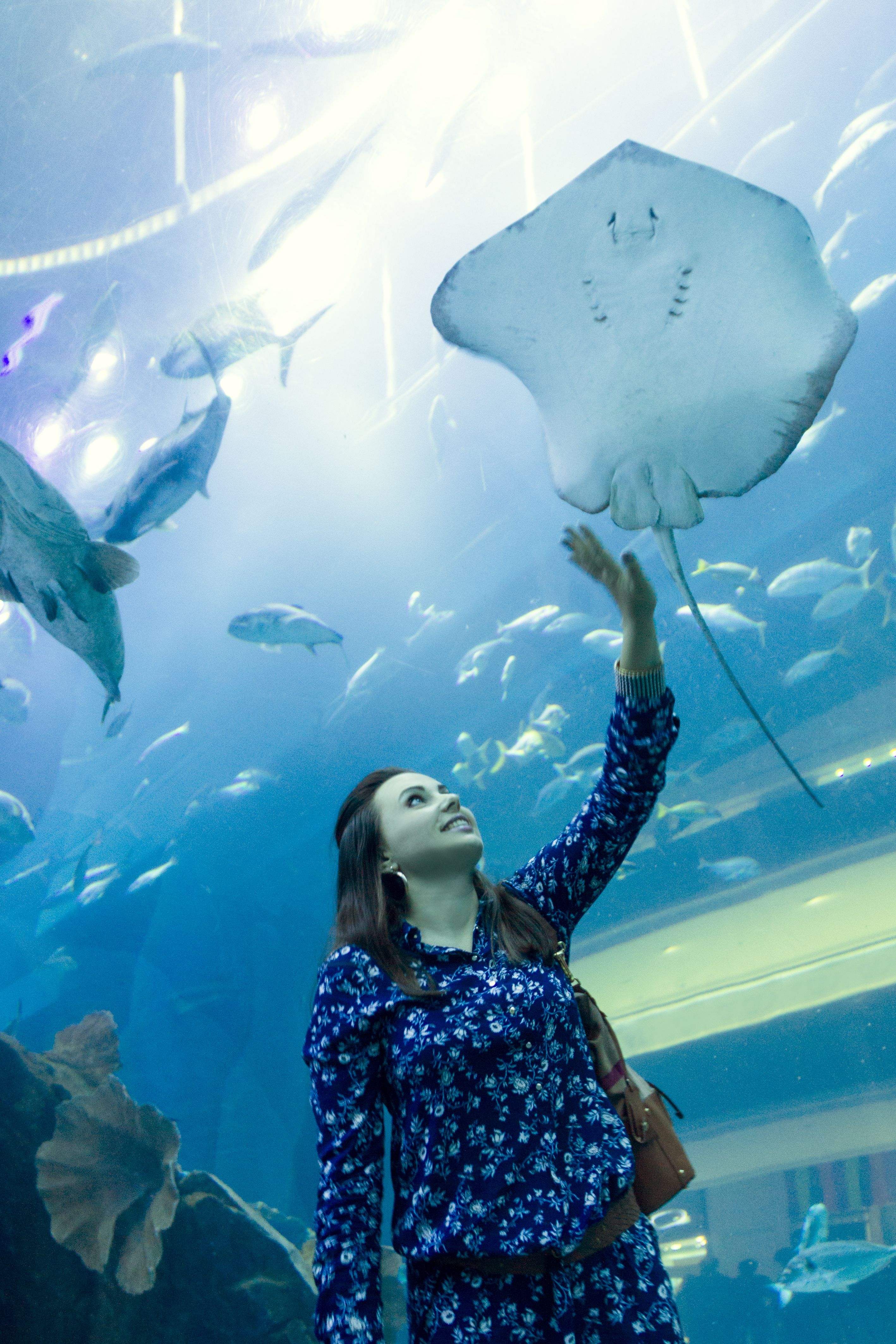 acquario dubai razza