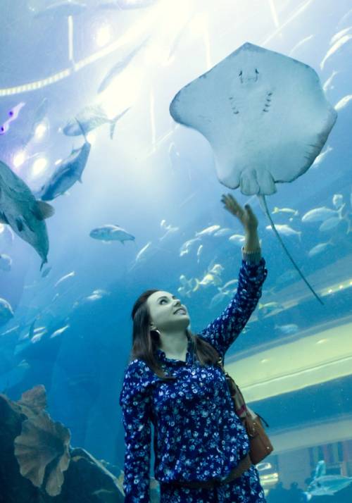 acquario dubai razza