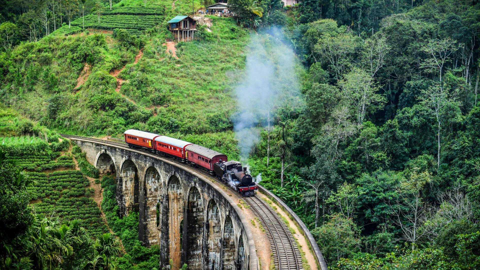train to ella