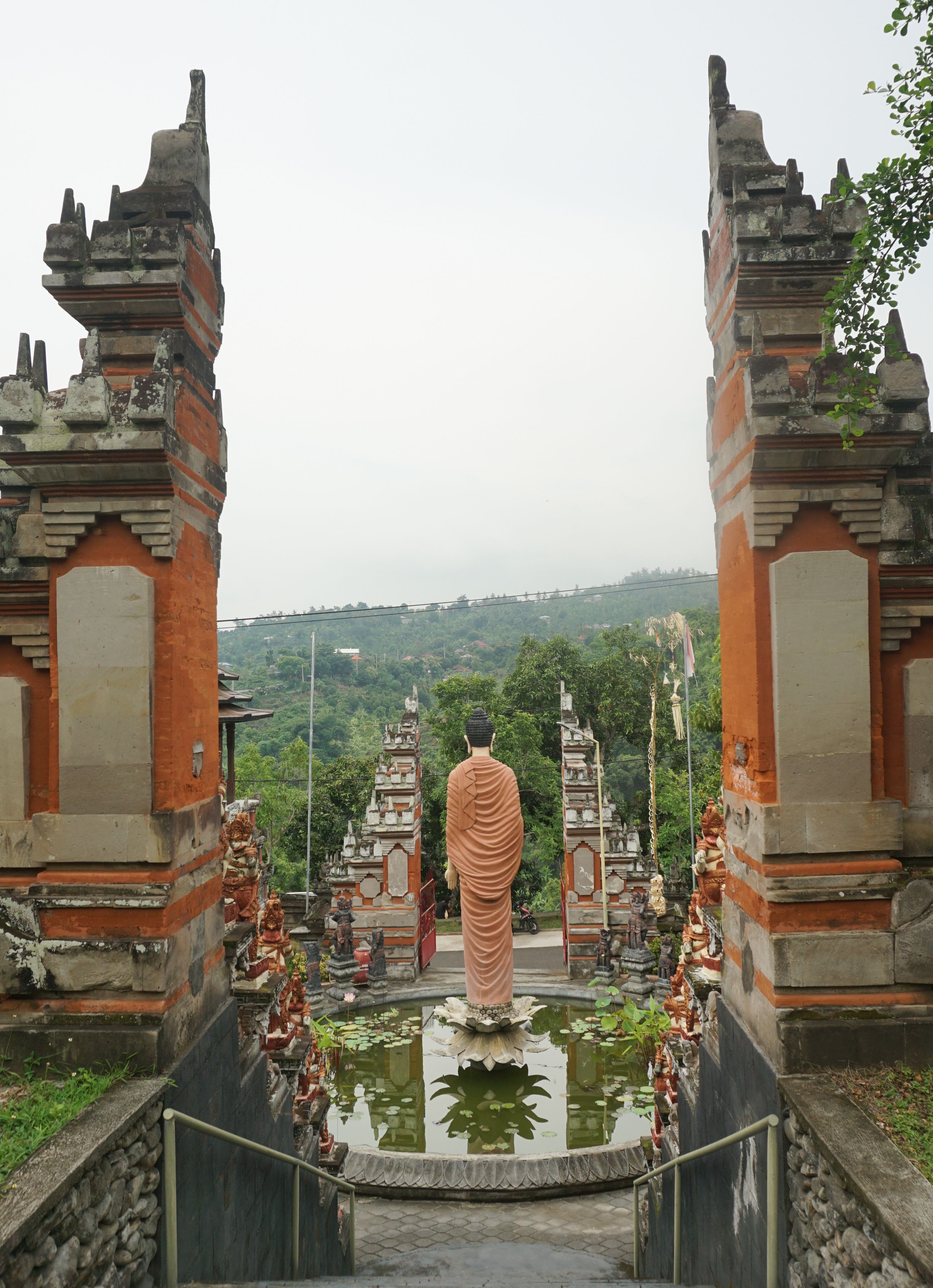 portal in the jungle