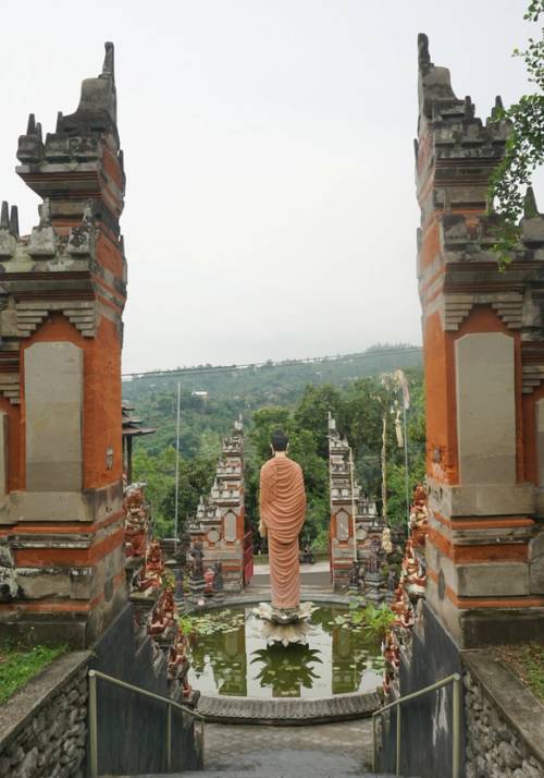 portal in the jungle