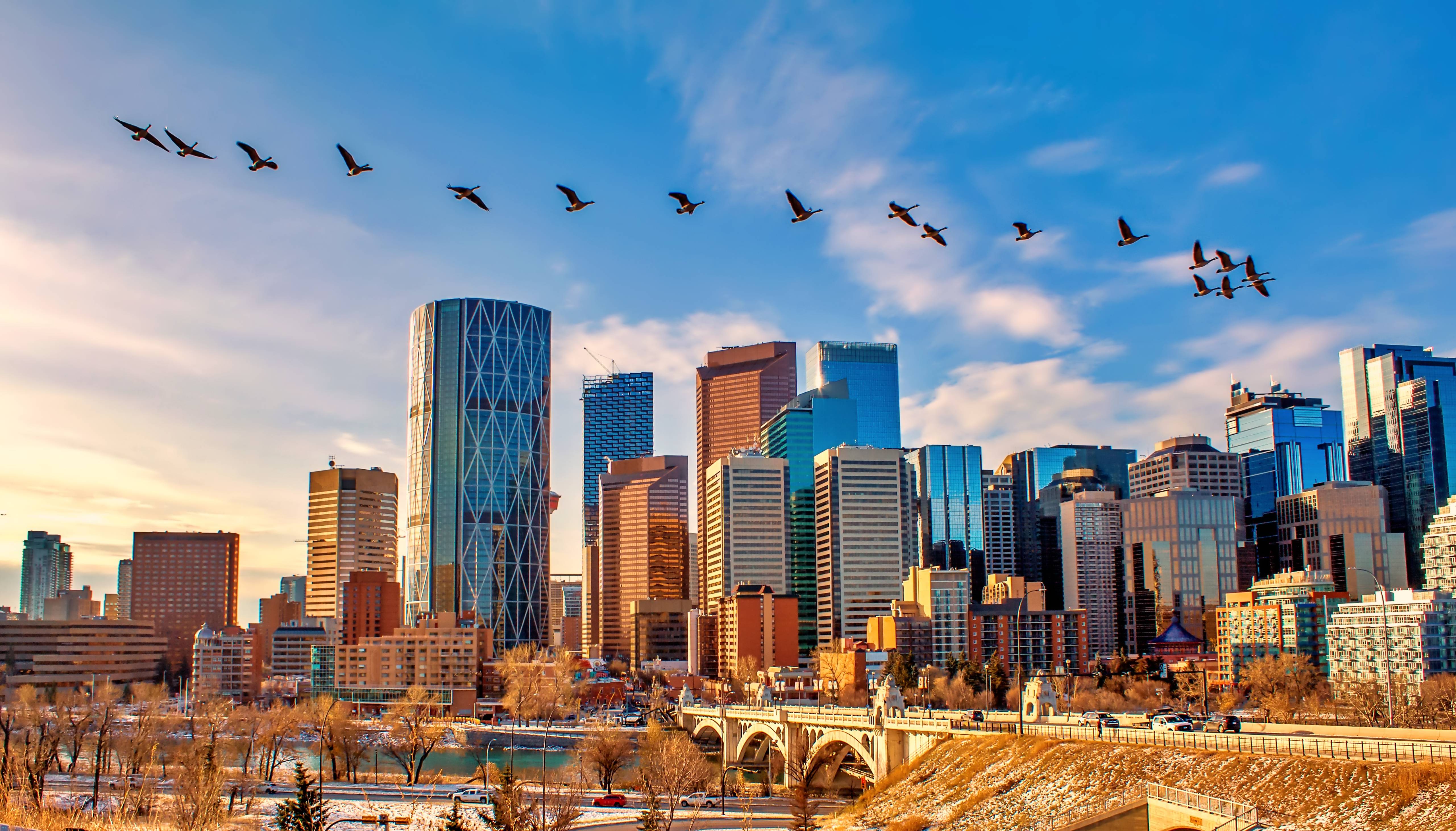 calgary