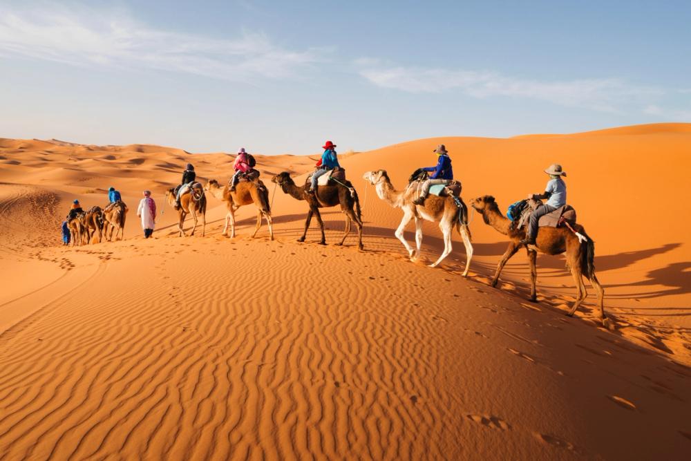 gruppo escursione a bordo di cammelli nel deserto