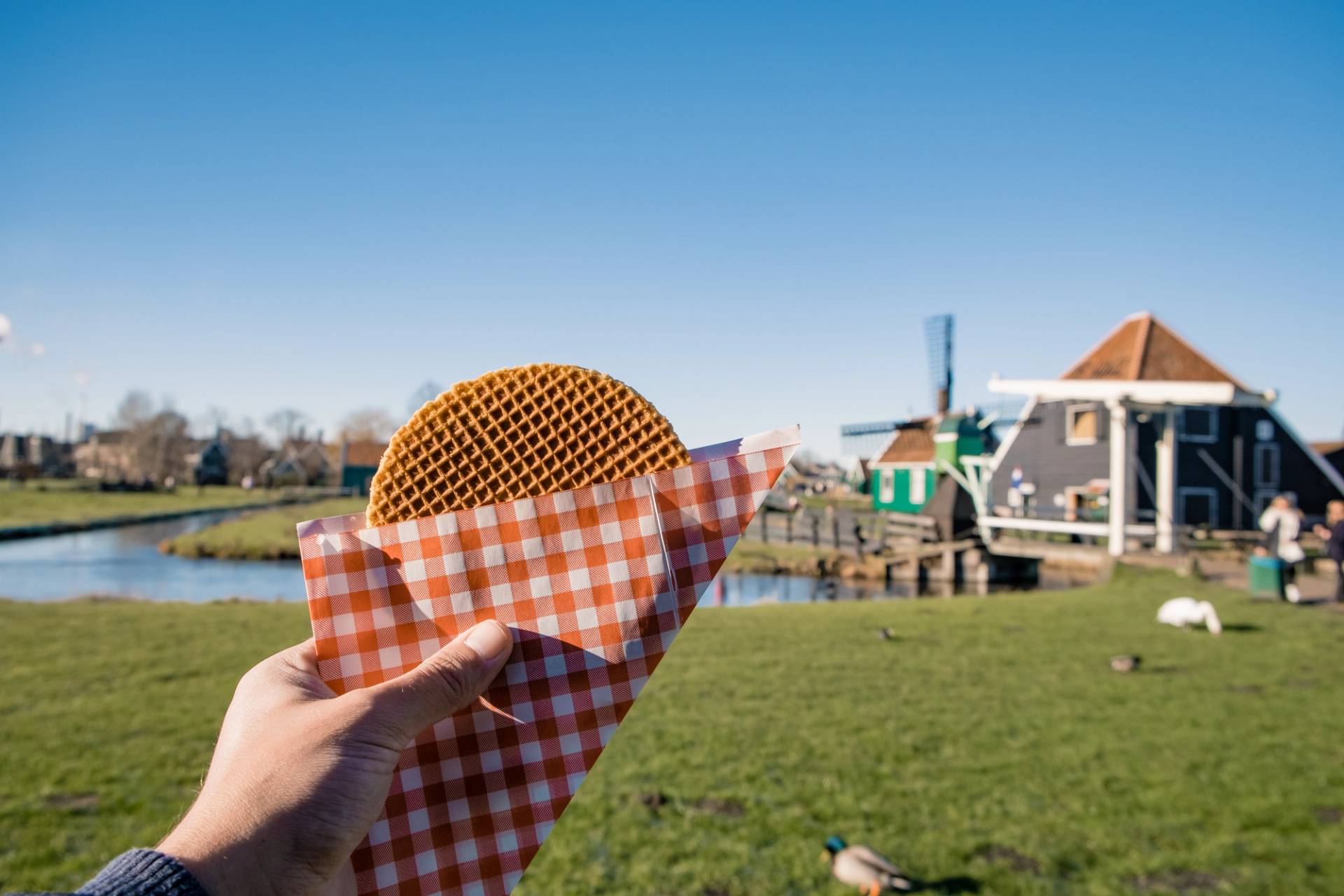 stroopwafel olandesi