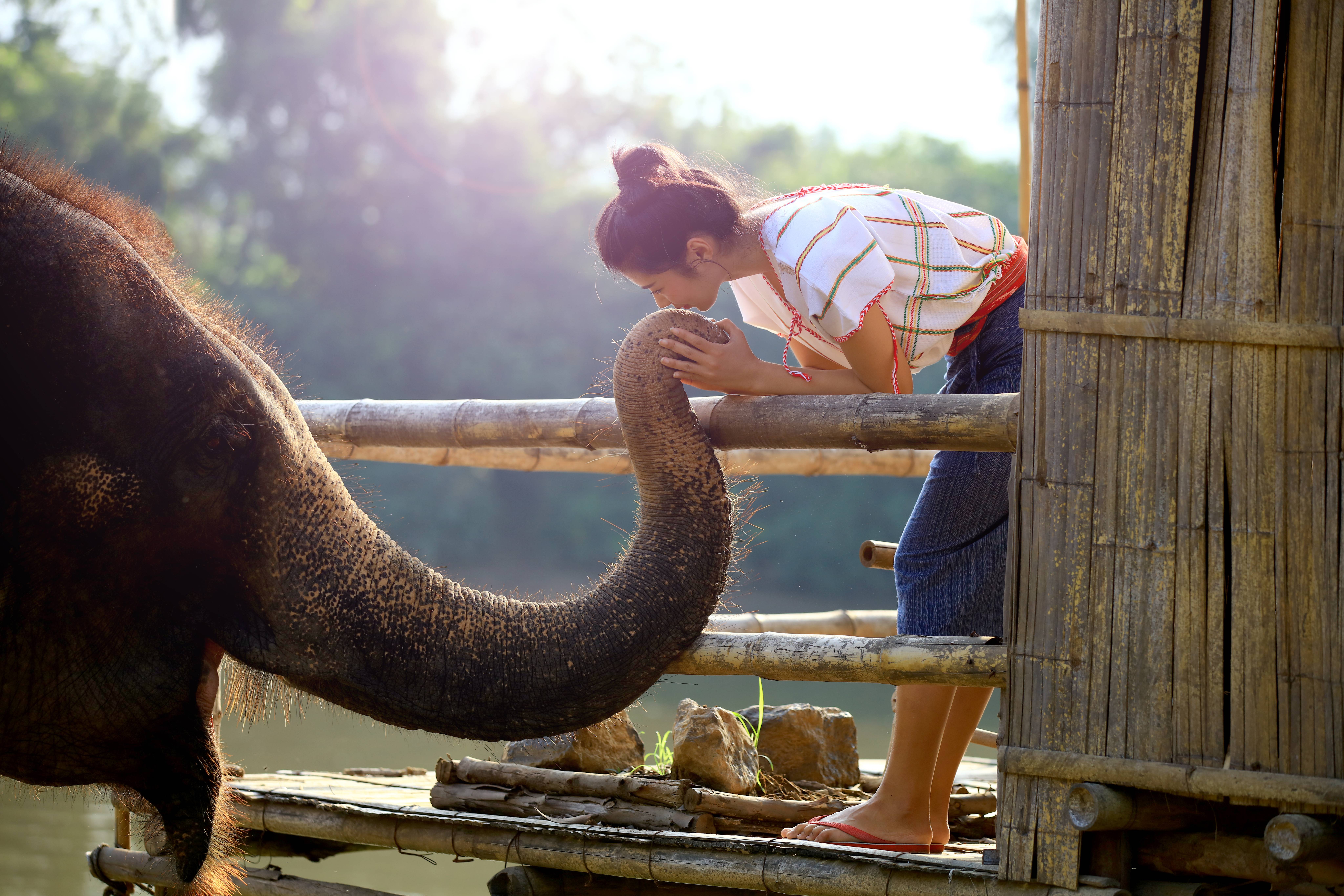 turista su barca nella baia di halong