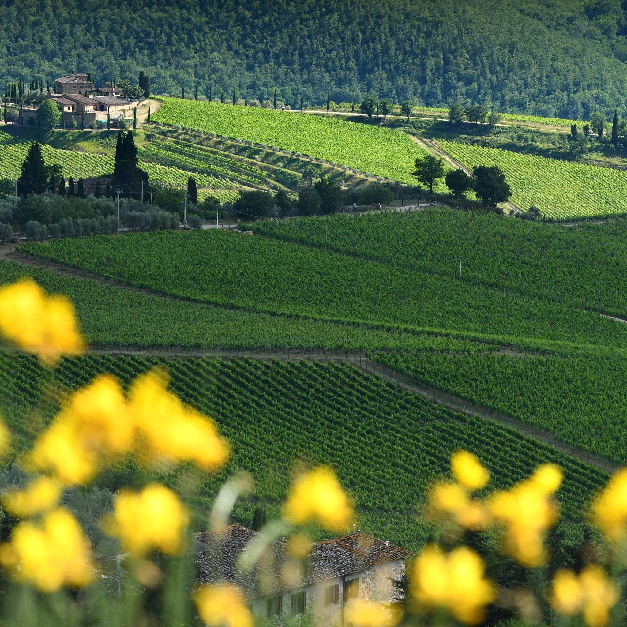 giugno