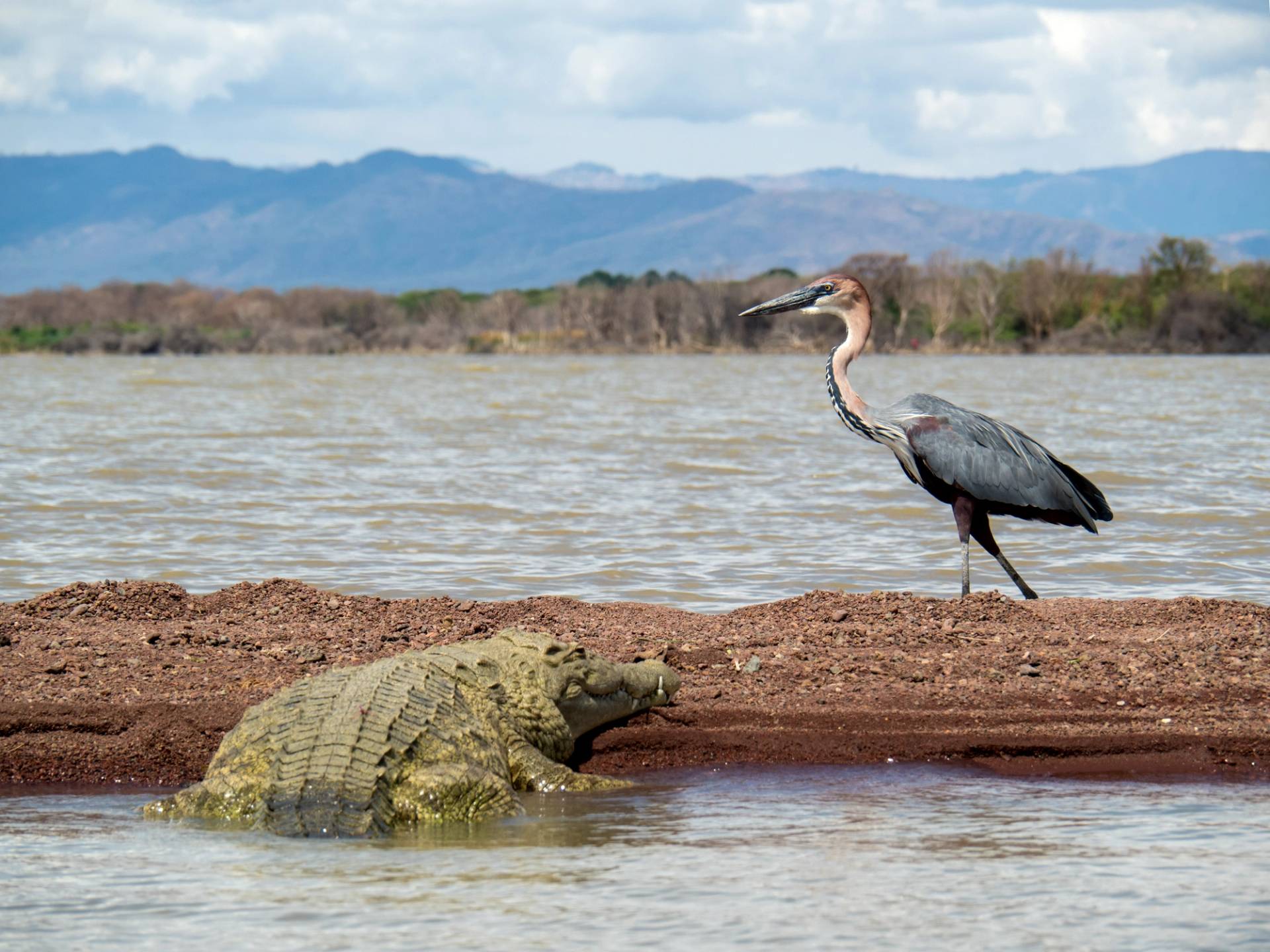 ethiopian lake