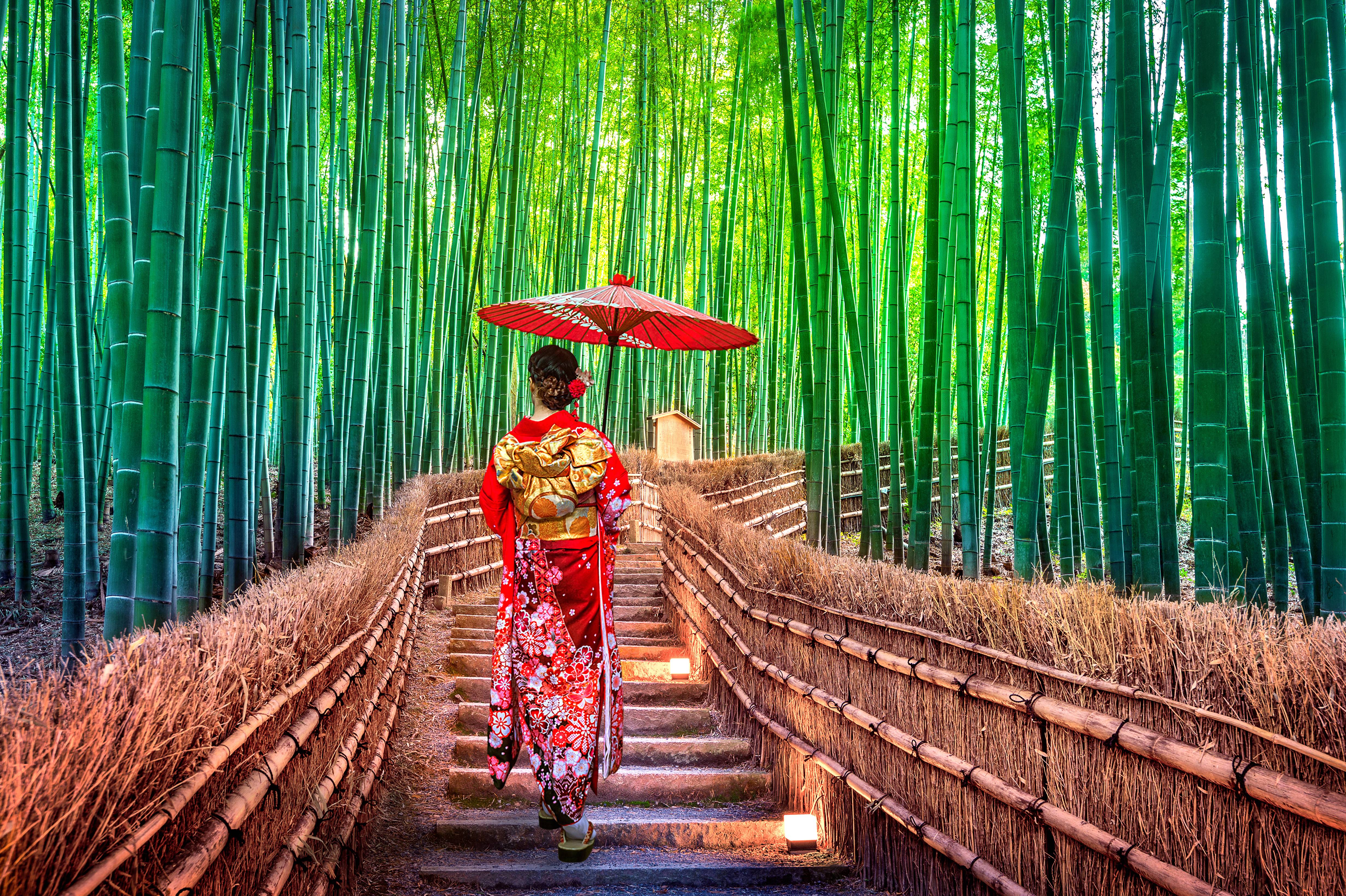 donna con ombrello rosso tra foresta di bambu