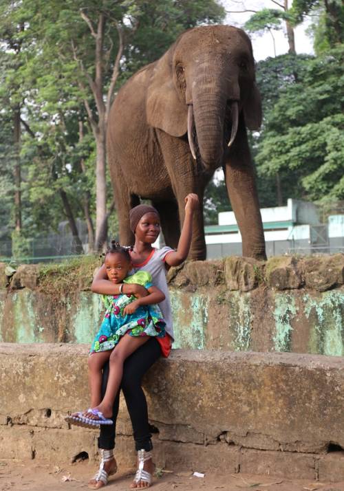 donna e bambino con elefante