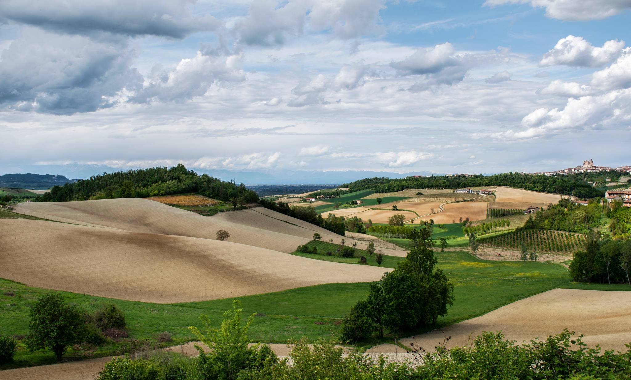 colline piemontesi monferrato