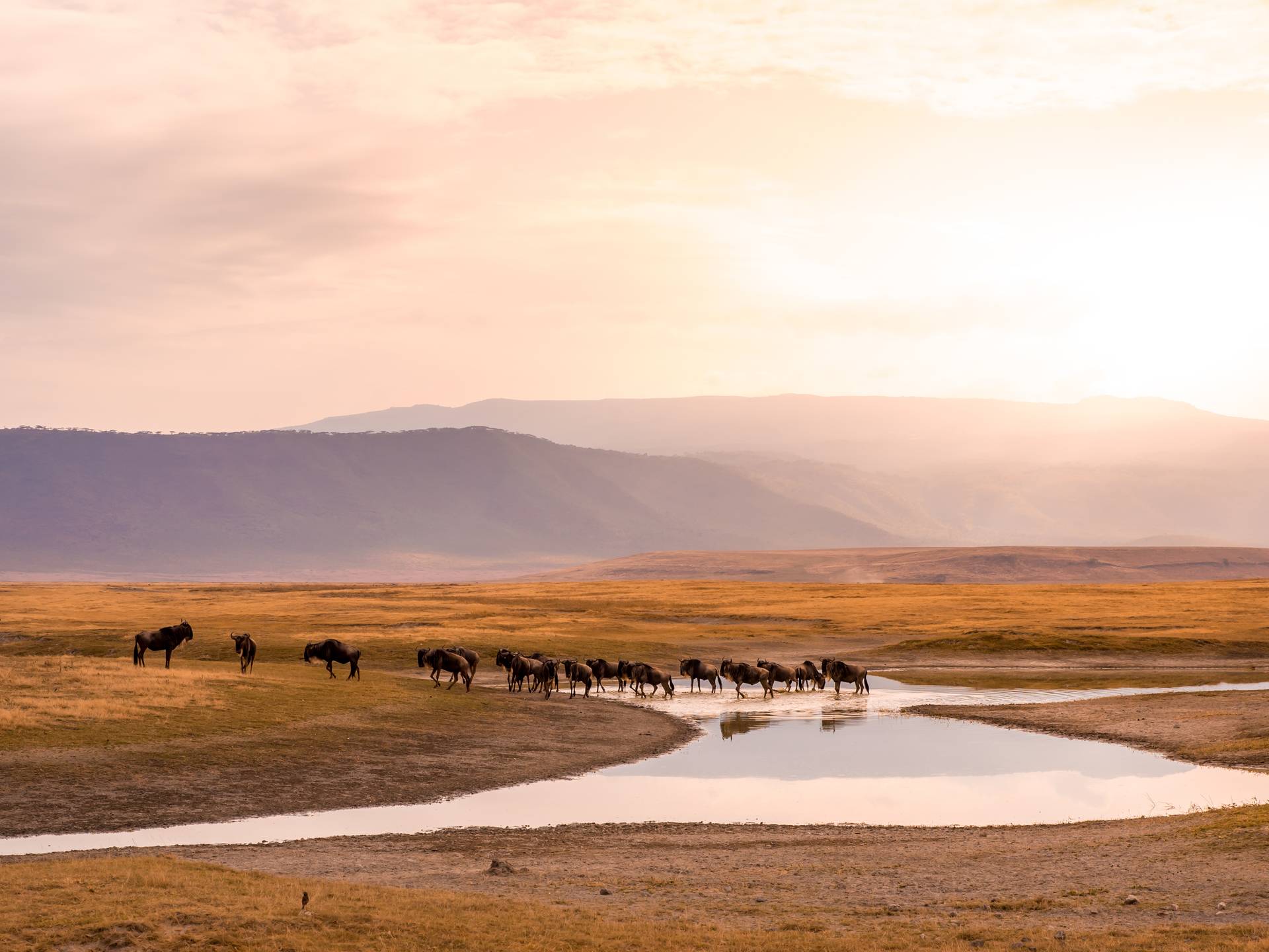 Panorami della Tanzania: dalla savana ai laghi cover