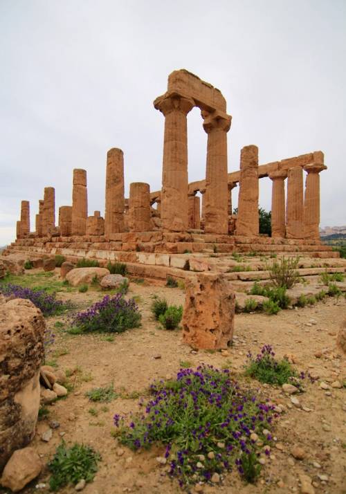 valle dei templi di agrigento