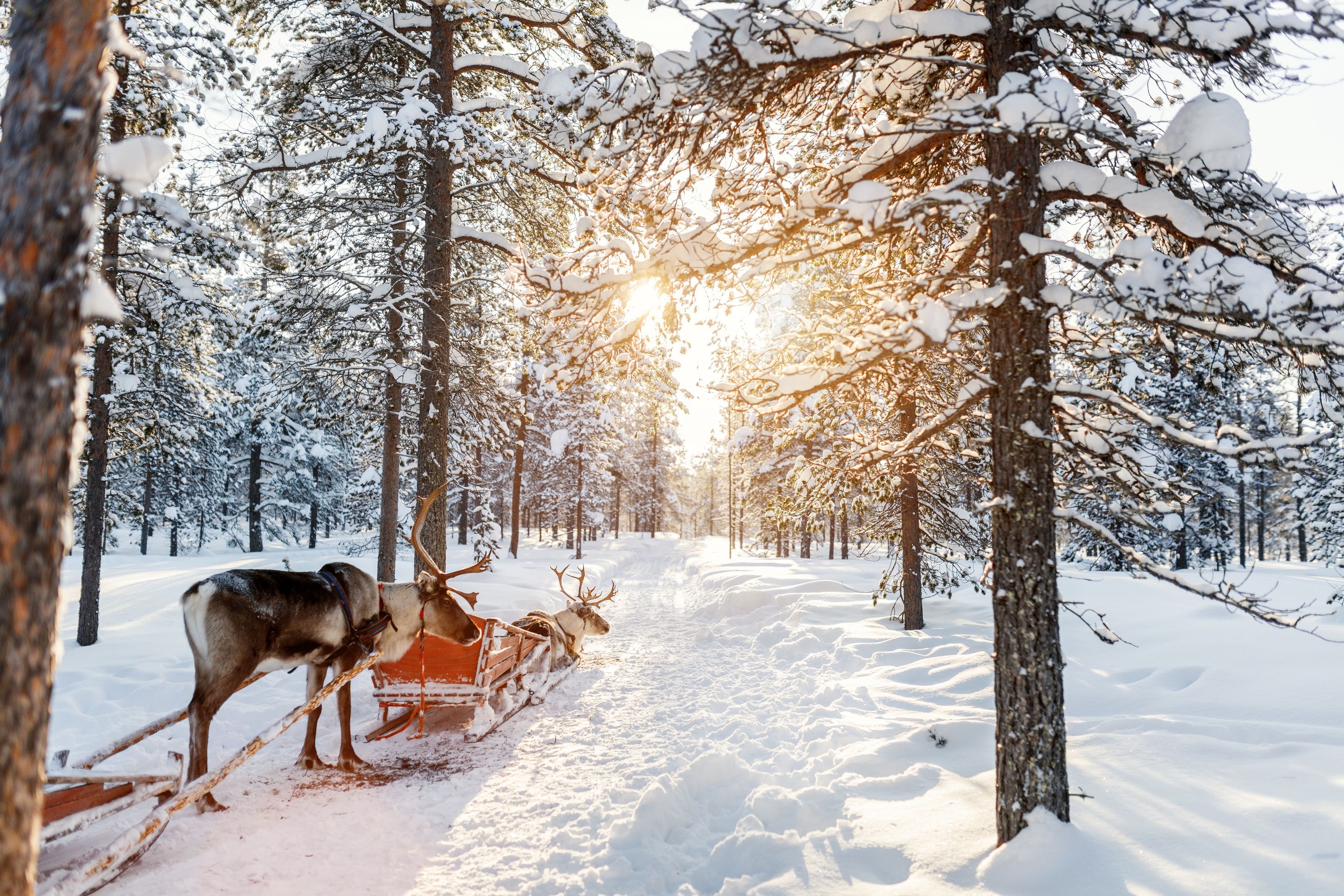 Tour In Lapponia Finlandese: Nella Terra Di Miti E Leggende | Tramundi