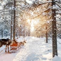 aurora boreale in finlandia