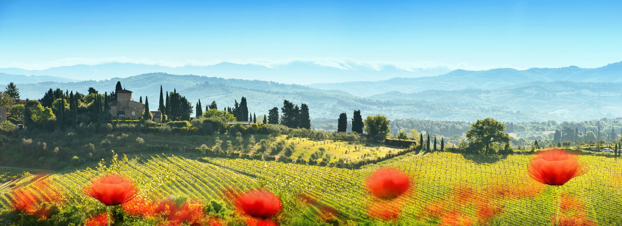 toscana papaveri