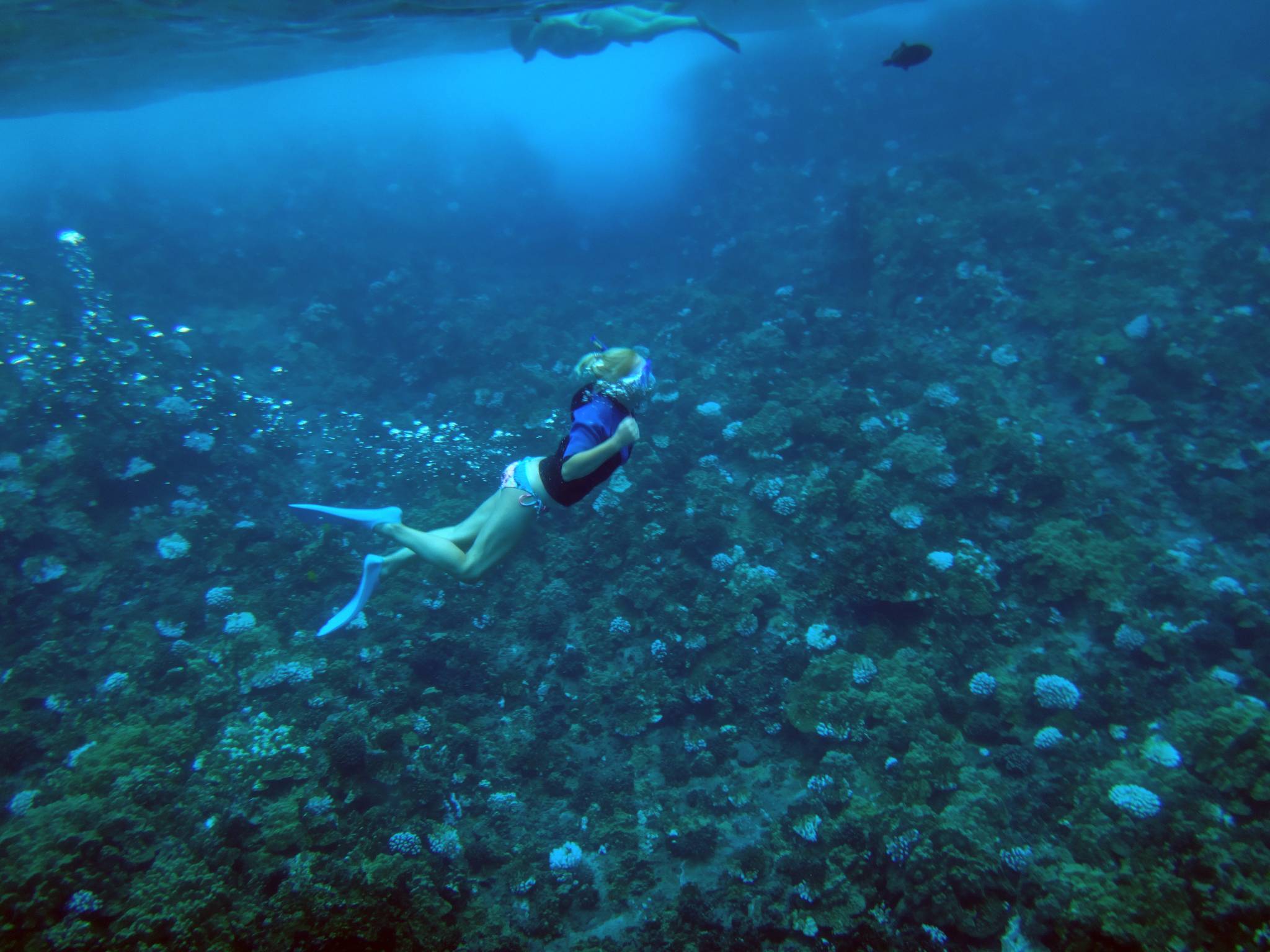 ragazza fa snorkeling a molonkini