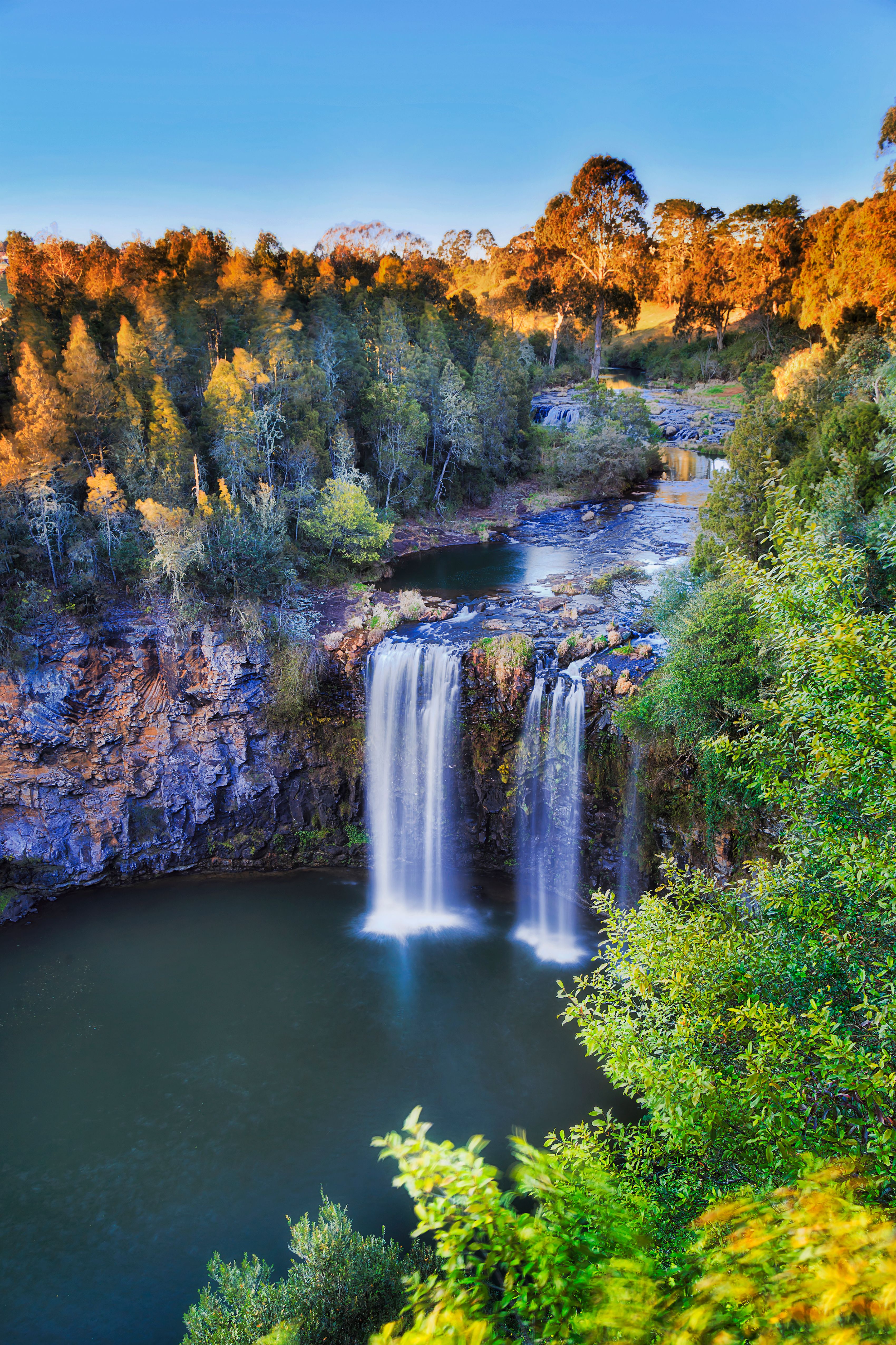 dorrigo national park