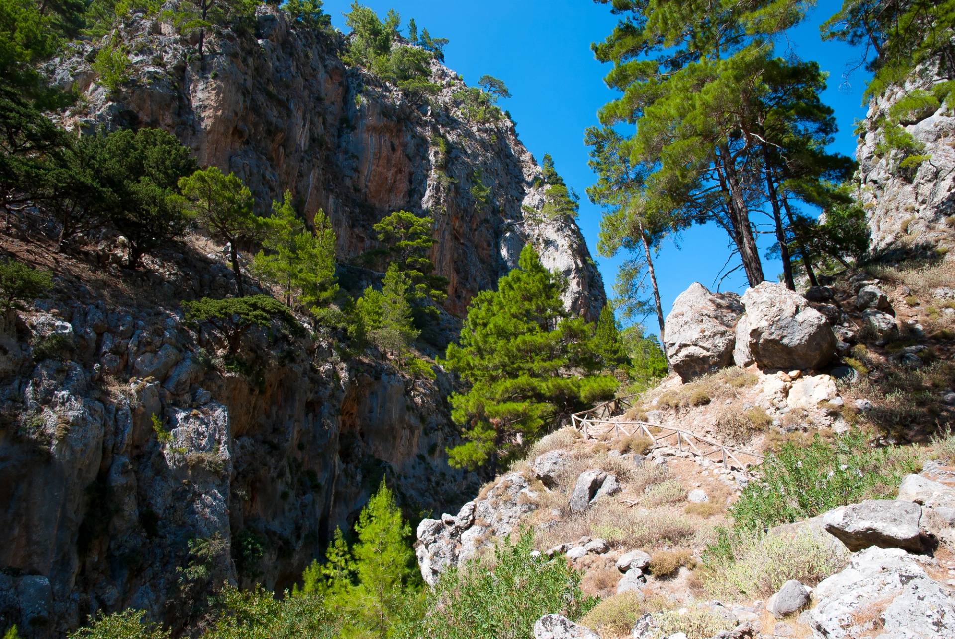 mountain trail
