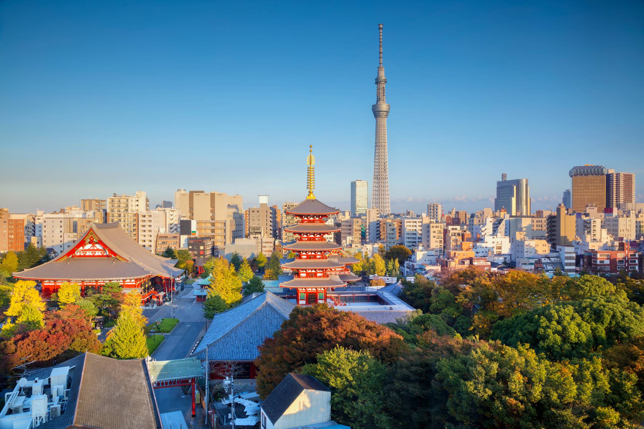 Tokyo
