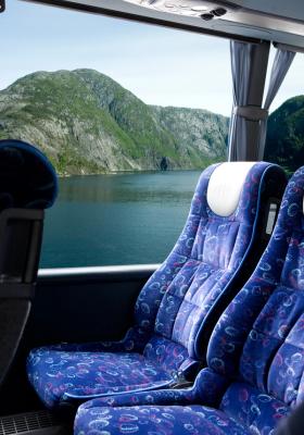 tour dei fiordi in bus