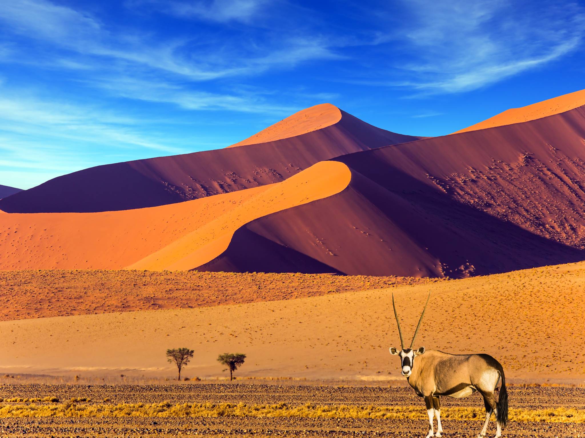 Esplorando Namibia cover