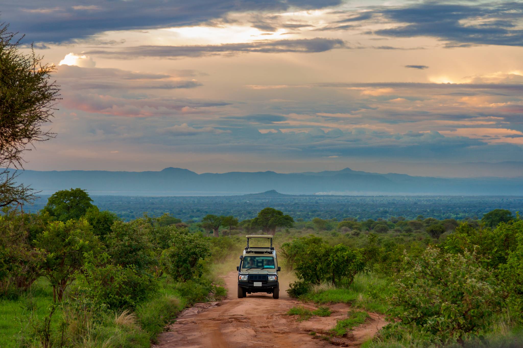 safari in jeep